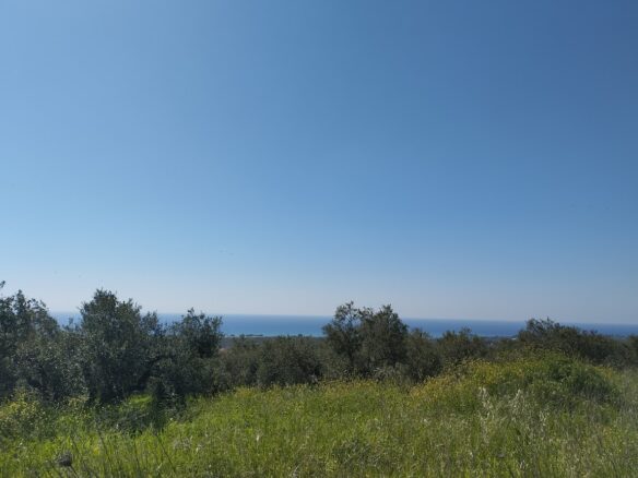 Land Of 20000 M² In Tragana Messinia, South Peloponnese, Greece