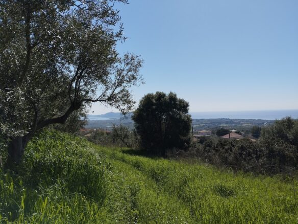 Land Of 20000 M² In Tragana Messinia, South Peloponnese, Greece
