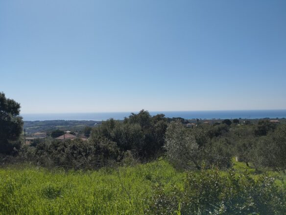 Land Of 20000 M² In Tragana Messinia, South Peloponnese, Greece