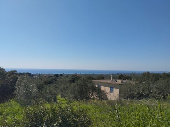 Land Of 20000 M² In Tragana Messinia, South Peloponnese, Greece