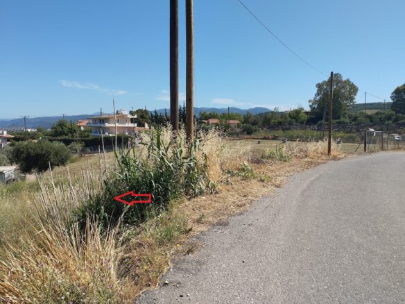 Land Plot Of 589.17 M² With In Memi, Kyparissia