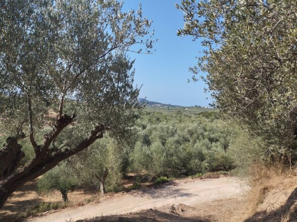 Plot Of 2,206.20 M² With Sea View In Tragana Messinien, South Peloponnese, Greece