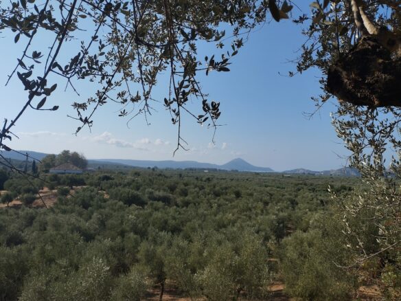 Plot Of 2,206.20 M² With Sea View In Tragana Messinien, South Peloponnese, Greece