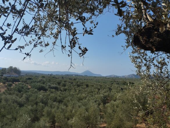 Plot Of 2,206.20 M² With Sea View In Tragana Messinien, South Peloponnese, Greece