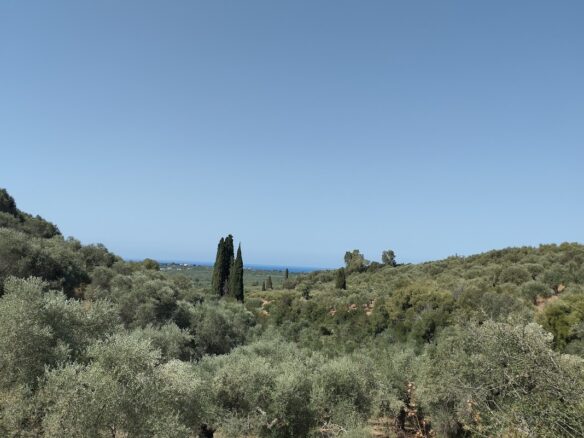 Land Plot Of 1,897.27 M² In Pisaski Messinien, South Peloponnese, Greece