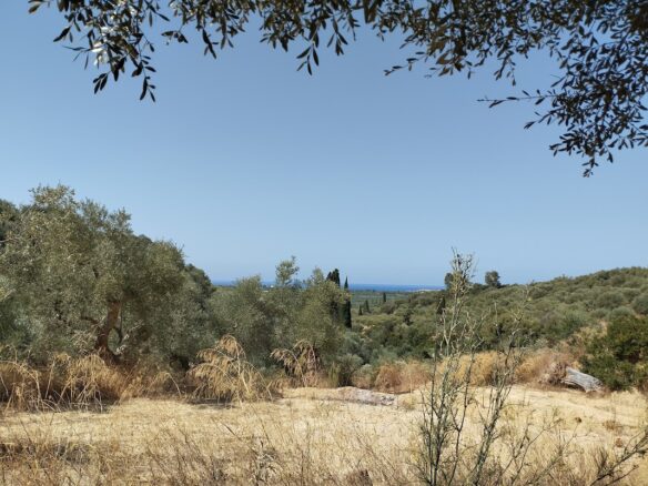 Land Plot Of 1,897.27 M² In Pisaski Messinien, South Peloponnese, Greece