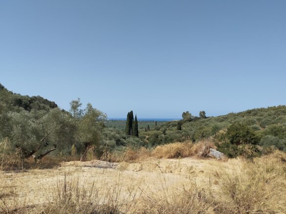 Land Plot Of 1,897.27 M² In Pisaski Messinien, South Peloponnese, Greece