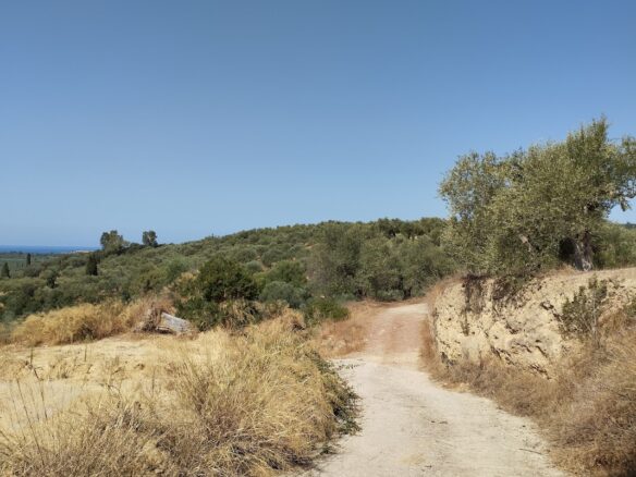 Land Plot Of 1,897.27 M² In Pisaski Messinien, South Peloponnese, Greece