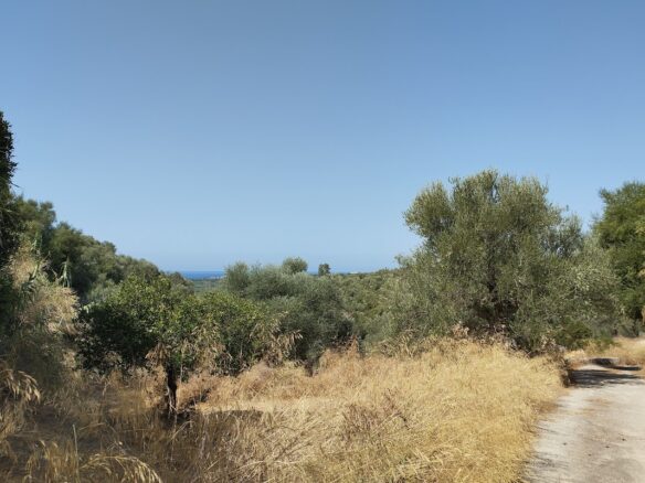 Land Plot Of 1,897.27 M² In Pisaski Messinien, South Peloponnese, Greece