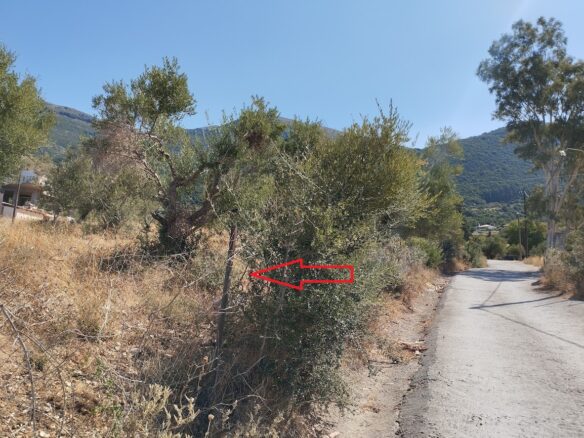 Land Plot Of 1,000 M² In Stasio, Messinia, South Peloponnese, Greece