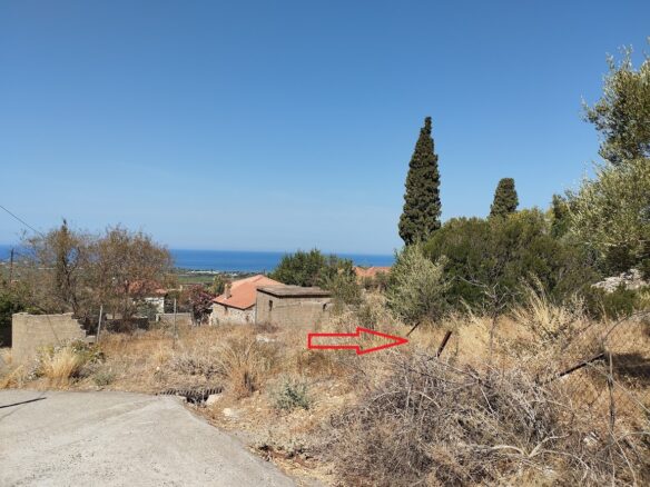 Land Plot Of 1,000 M² In Stasio, Messinia, South Peloponnese, Greece