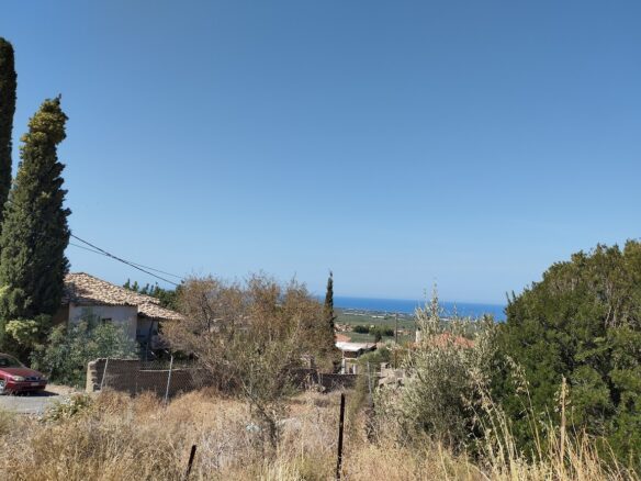 Land Plot Of 1,000 M² In Stasio, Messinia, South Peloponnese, Greece