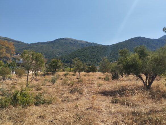 Land Plot Of 1,000 M² In Stasio, Messinia, South Peloponnese, Greece