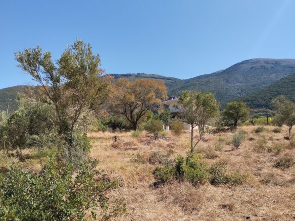 Land Plot Of 1,000 M² In Stasio, Messinia, South Peloponnese, Greece