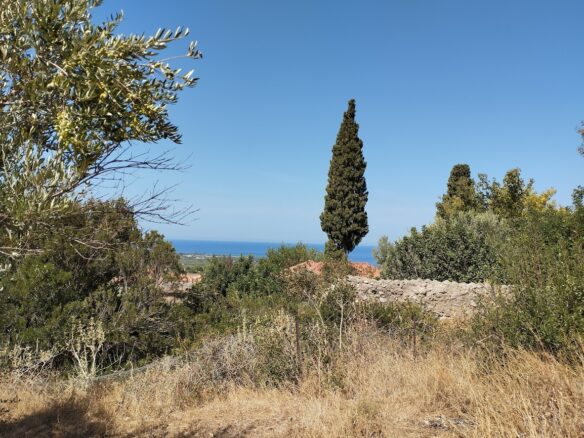 Land Plot Of 1,000 M² In Stasio, Messinia, South Peloponnese, Greece