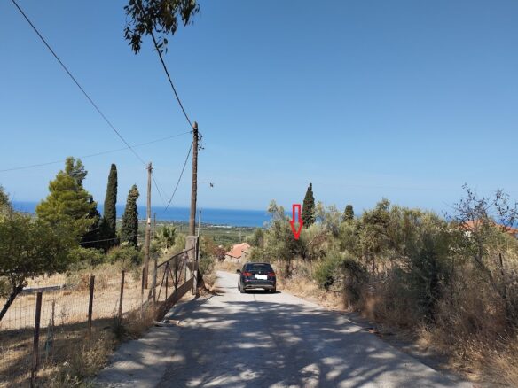 Land Plot Of 1,000 M² In Stasio, Messinia, South Peloponnese, Greece