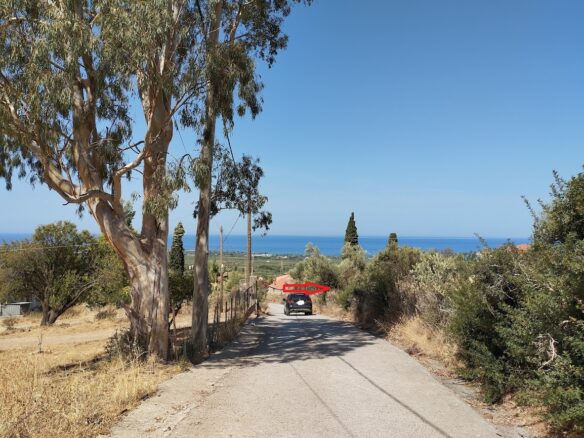 Land Plot Of 1,000 M² In Stasio, Messinia, South Peloponnese, Greece