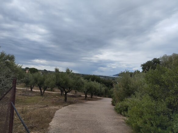 Land Plot Of 4,005 Sq.m. Located In Agia Kyriaki, Messinia, South Peloponnes Greece