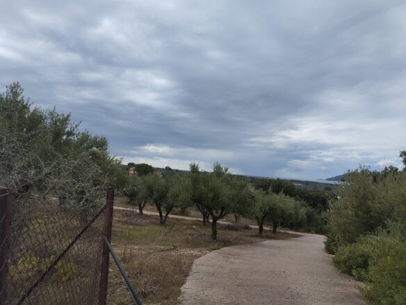 Land Plot Of 4,005 Sq.m. Located In Agia Kyriaki, Messinia, South Peloponnes Greece