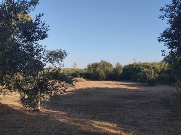 Land Of 8000 M² In Tragana Messinia South Peloponnese Greece