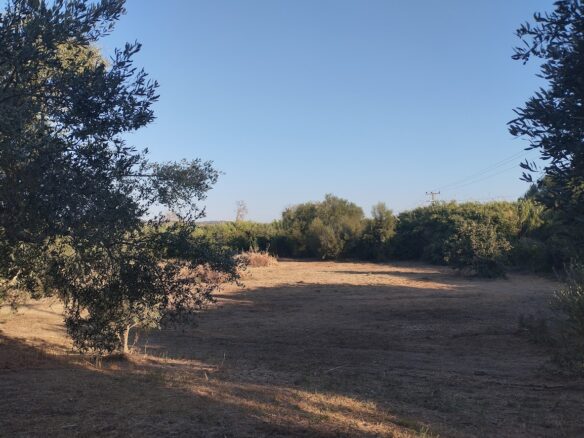 Land Of 8000 M² In Tragana Messinia South Peloponnese Greece