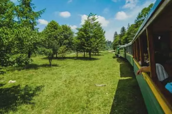 Hotel & Recreation Complex, Rehabilitation And Wellness Resort In The Carpathian Mountains