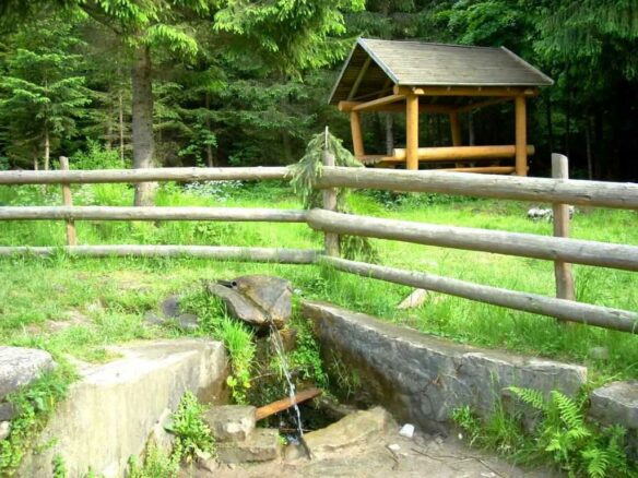 Hotel & Recreation Complex, Rehabilitation And Wellness Resort In The Carpathian Mountains