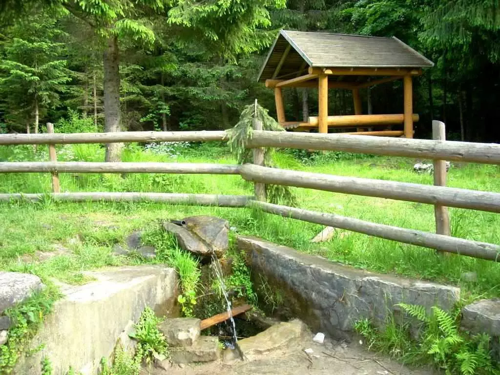 Hotel & Recreation Complex, Rehabilitation And Wellness Resort In The Carpathian Mountains