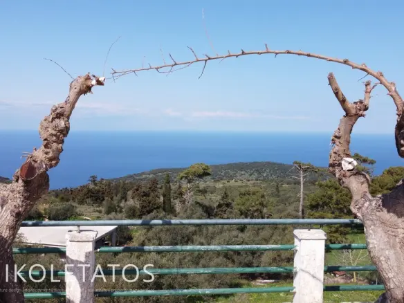 Land Of 2735 M² In Greece