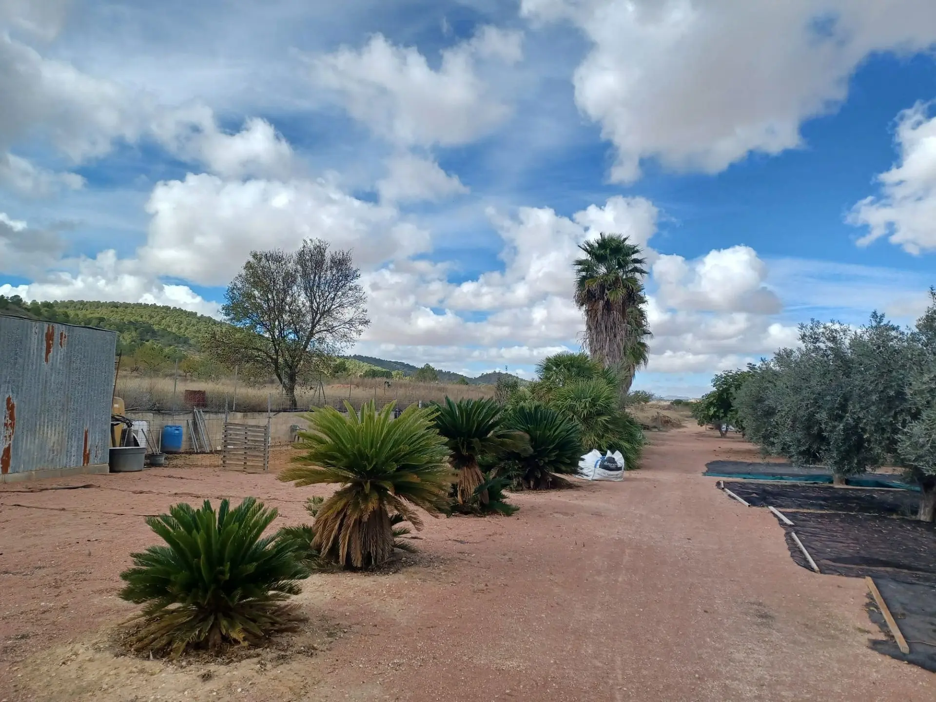 Country House Of 369 M² In Monovar, Spain