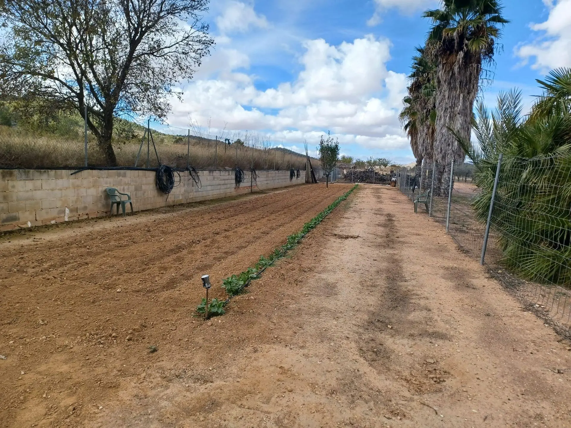 Country House Of 369 M² In Monovar, Spain