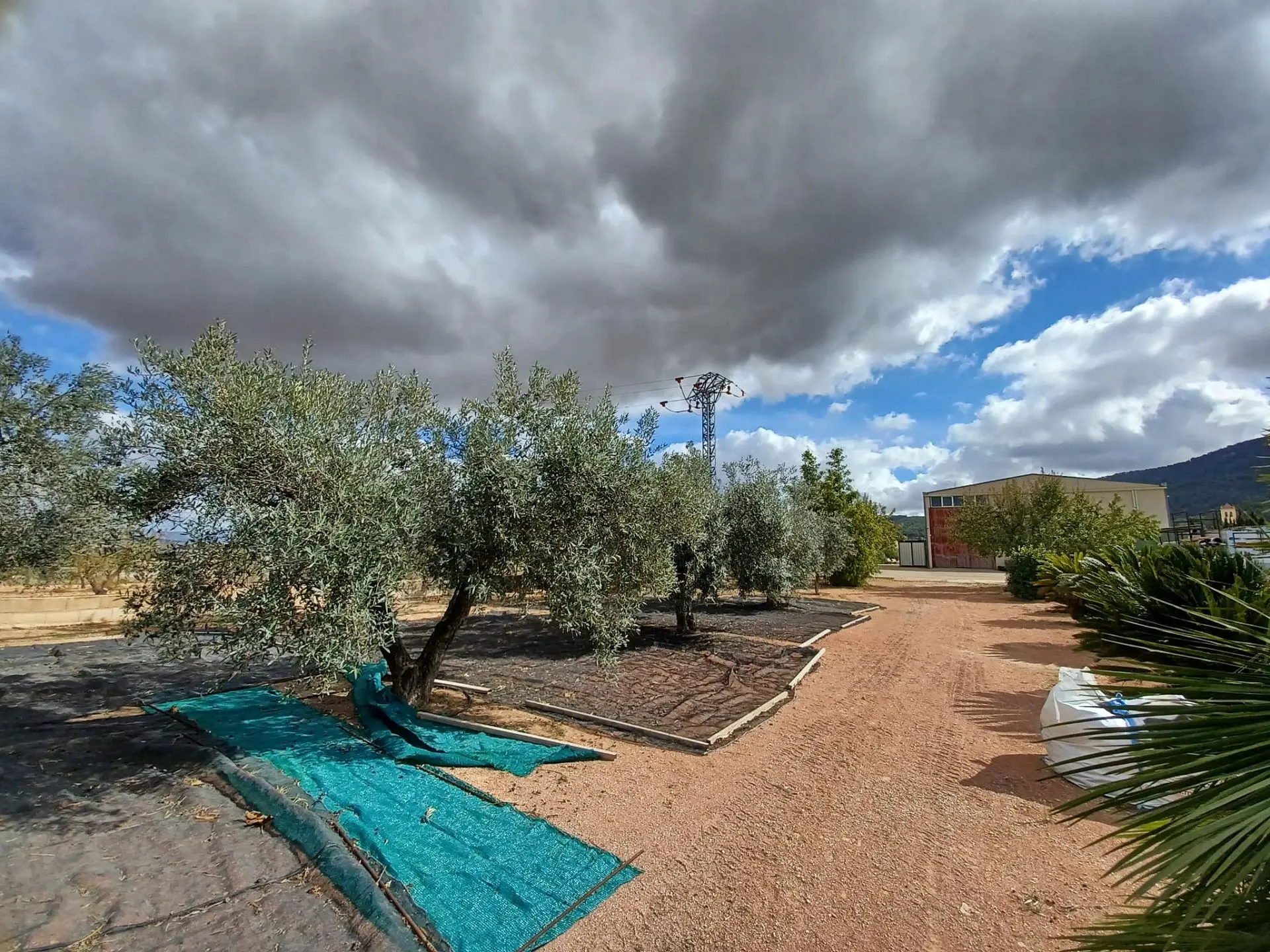 Country House Of 369 M² In Monovar, Spain