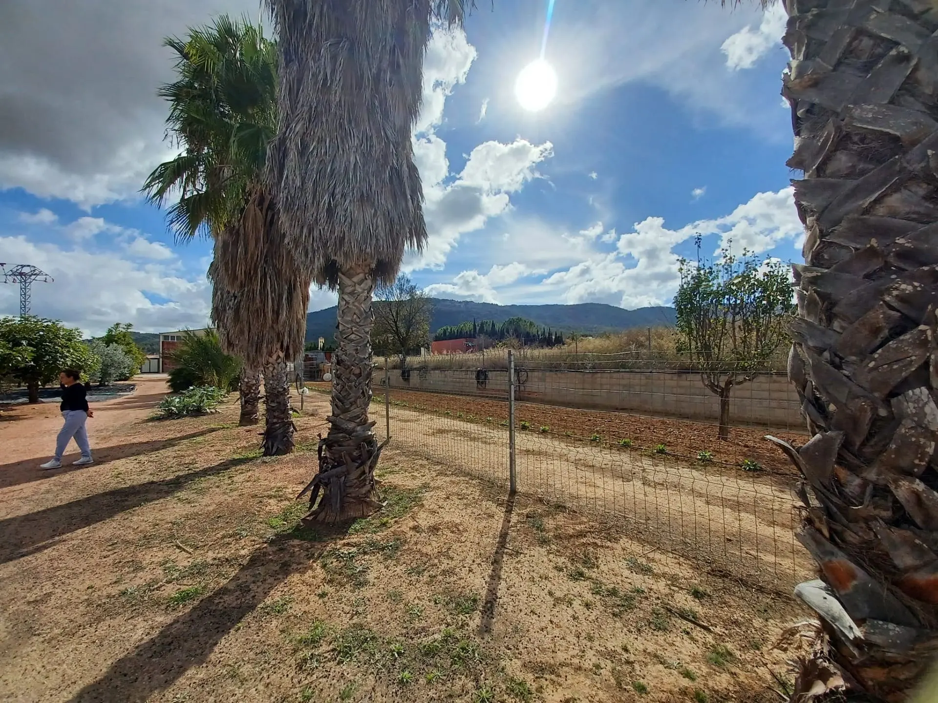 Country House Of 369 M² In Monovar, Spain