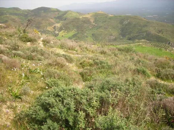Land In Gortina, Greece