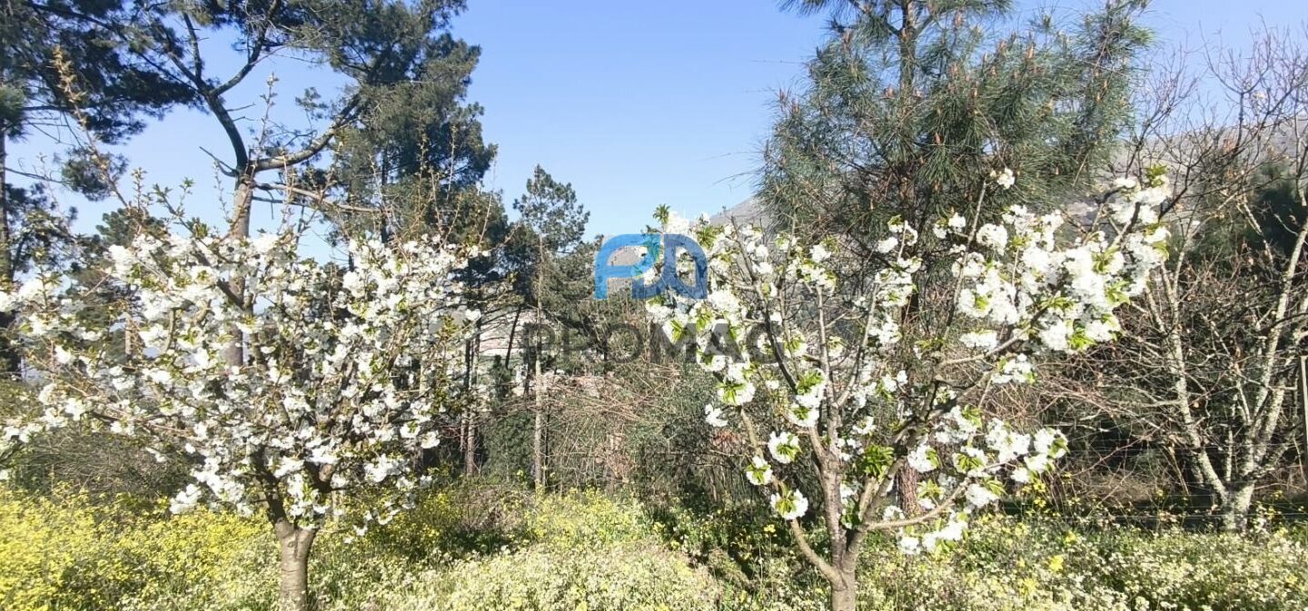 Buildable Plot Of 7,959 M² In Residential And/or Investment Location