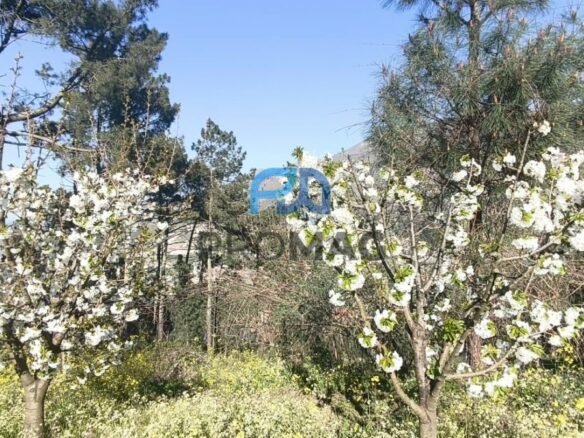 Buildable Plot Of 7,959 M² In Residential And/or Investment Location