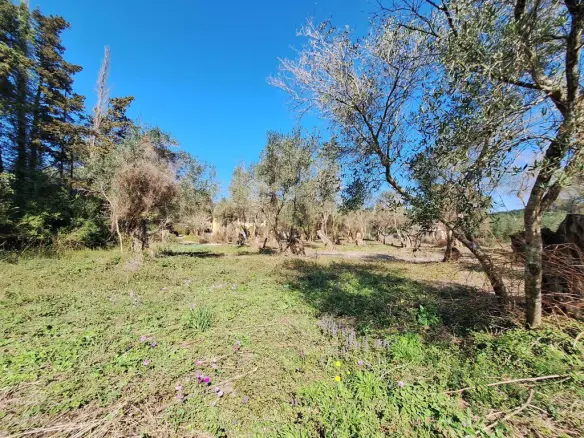 Land In Corfu, Greece