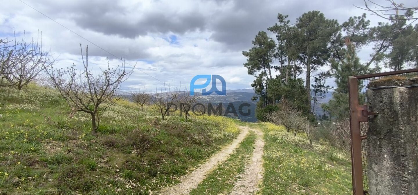 Buildable Plot Of 7,959 M² In Residential And/or Investment Location