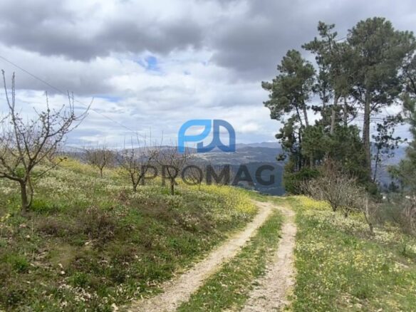 Buildable Plot Of 7,959 M² In Residential And/or Investment Location