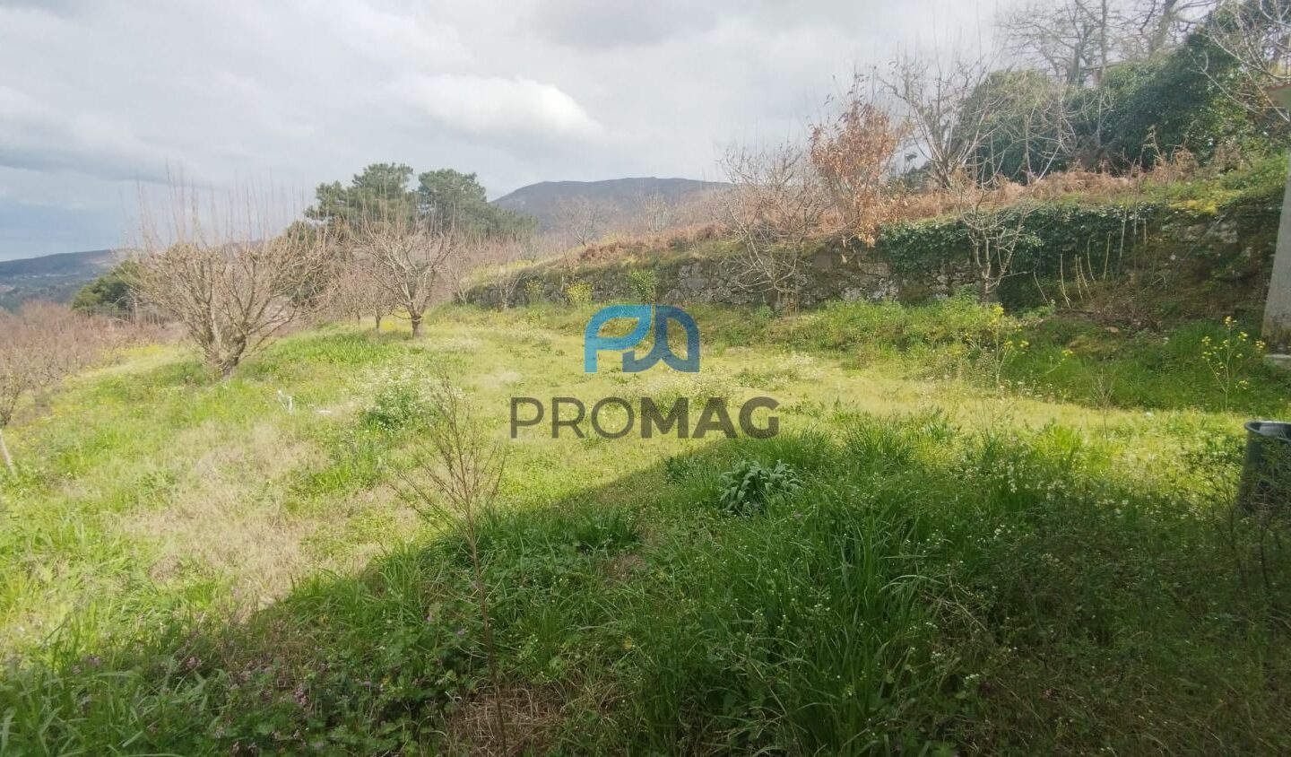 Buildable Plot Of 7,959 M² In Residential And/or Investment Location
