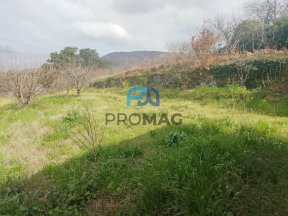 Buildable Plot Of 7,959 M² In Residential And/or Investment Location