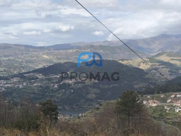 Buildable Plot Of 7,959 M² In Residential And/or Investment Location