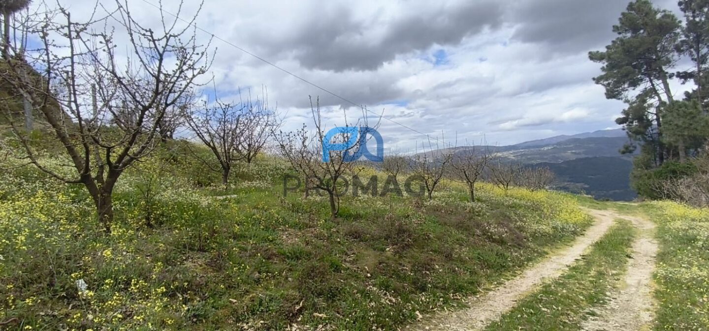 Buildable Plot Of 7,959 M² In Residential And/or Investment Location