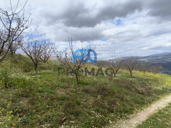 Buildable Plot Of 7,959 M² In Residential And/or Investment Location
