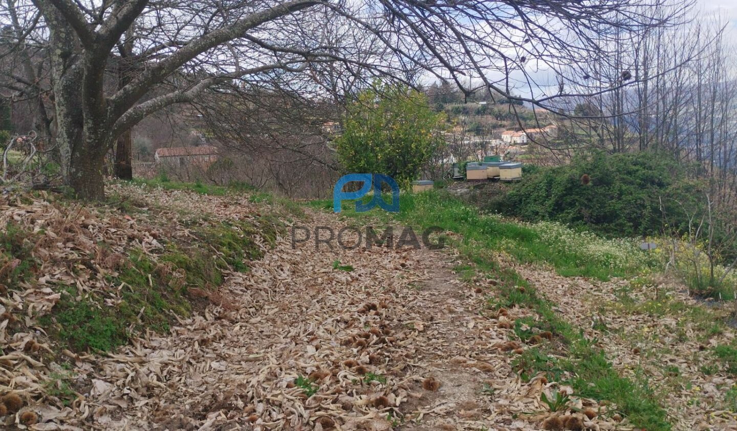 Buildable Plot Of 7,959 M² In Residential And/or Investment Location