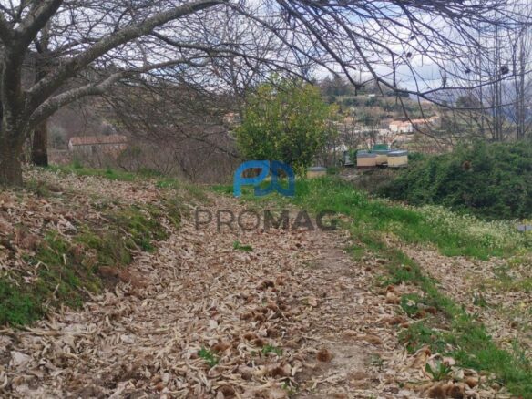 Buildable Plot Of 7,959 M² In Residential And/or Investment Location