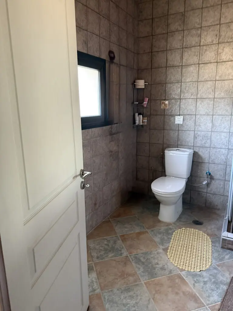 Detached House Of 250 M² In Athens