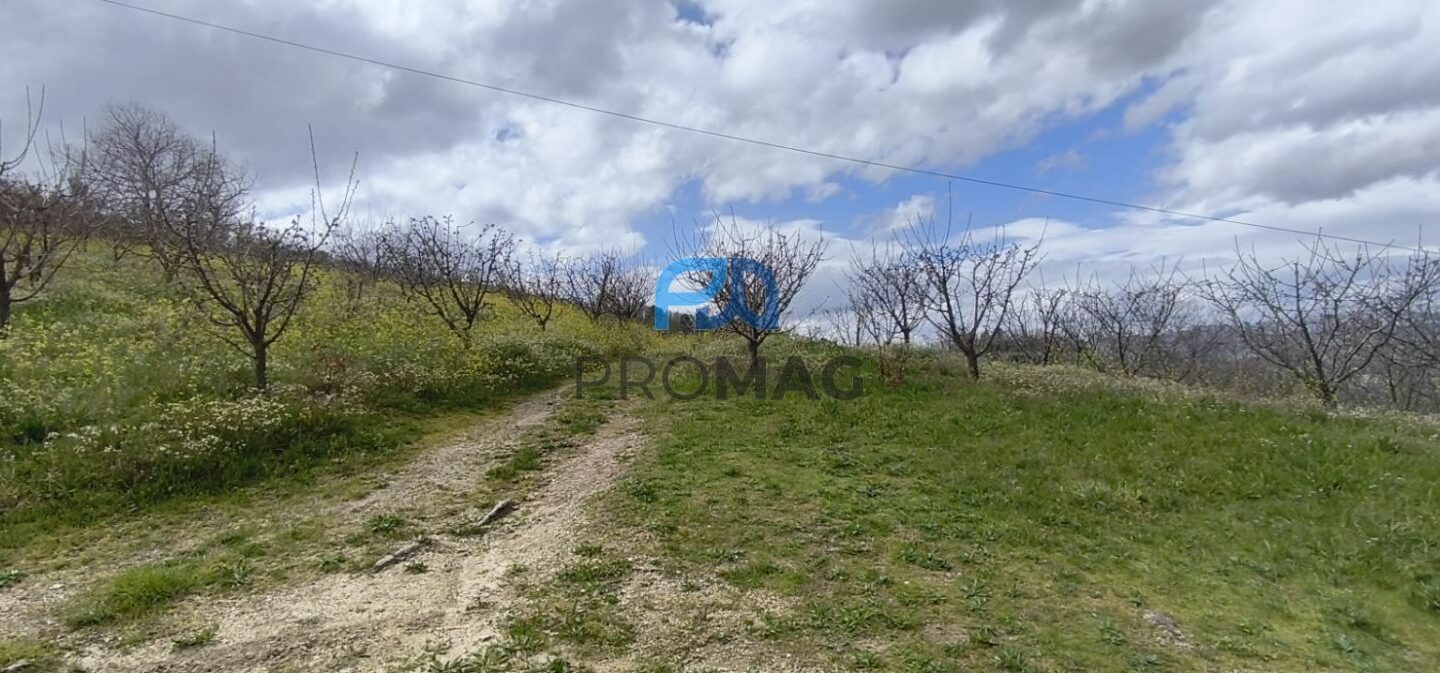 Buildable Plot Of 7,959 M² In Residential And/or Investment Location