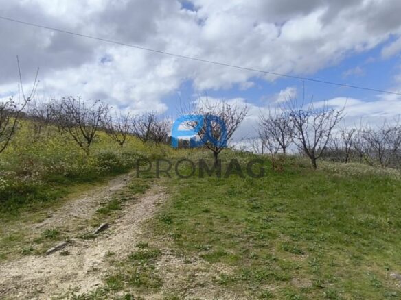Buildable Plot Of 7,959 M² In Residential And/or Investment Location