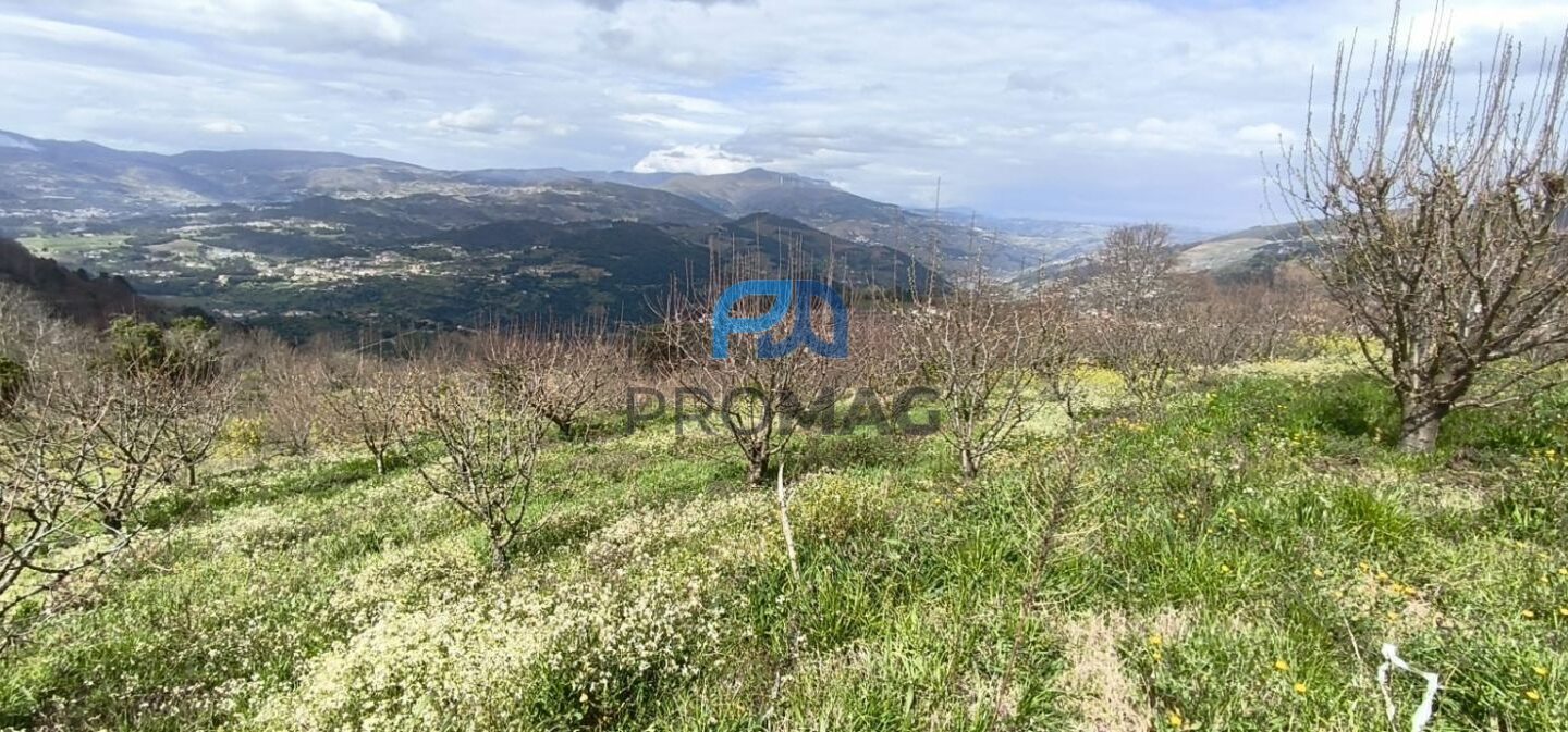 Buildable Plot Of 7,959 M² In Residential And/or Investment Location